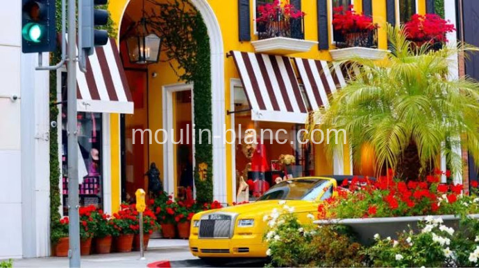 Best Areas in Los Angeles: Beverly Hills, West Hollywood, Malibu & Bel-Air Best Areas in Los Angeles: Beverly Hills, West Hollywood, Malibu & Bel-Air