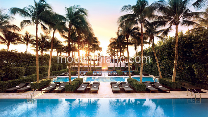 Best Luxury Hotels in Miami Best Luxury Hotels in Miami
